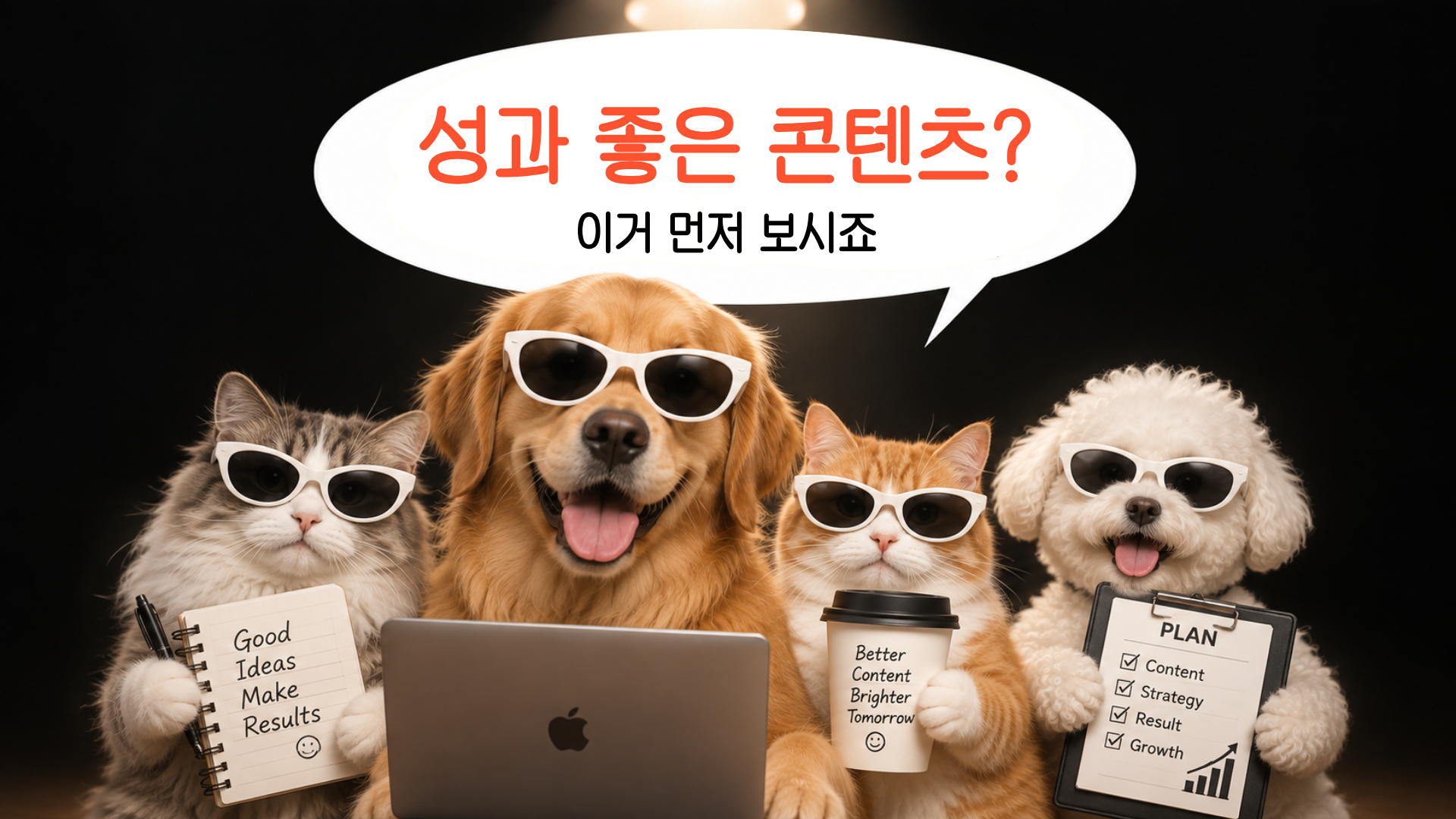 🏆 성과 좋은 펫 릴스의 공통점 4가지