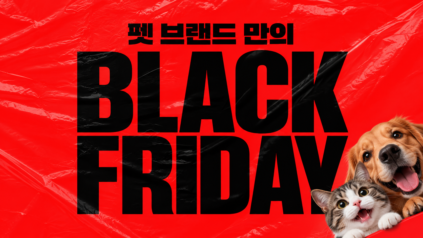 ⏰ 블랙프라이데이, 이걸 놓치면 안 됩니다